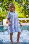 Nabi Cornflower Blue Gingham Dress