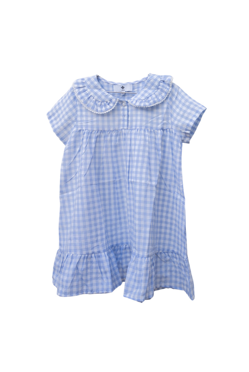 Nabi Cornflower Blue Gingham Dress