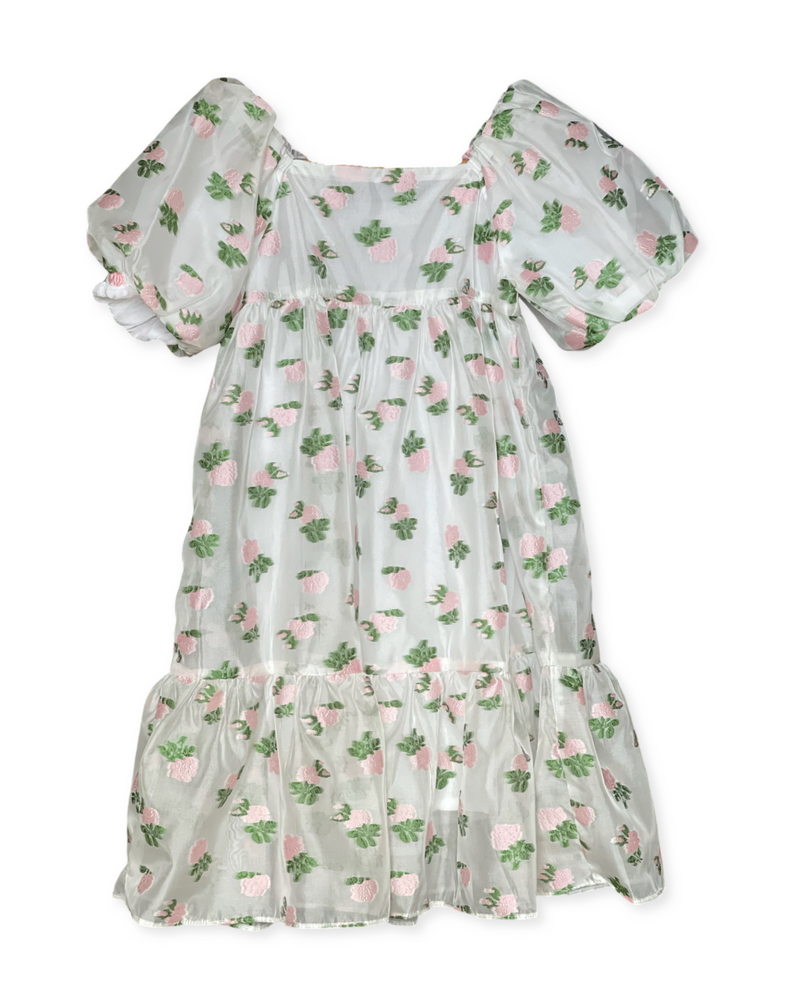 Flora Rose Embroidered Dress