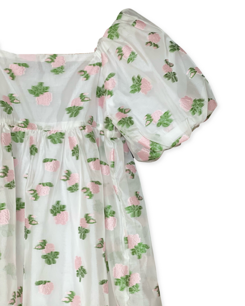 Flora Rose Embroidered Dress